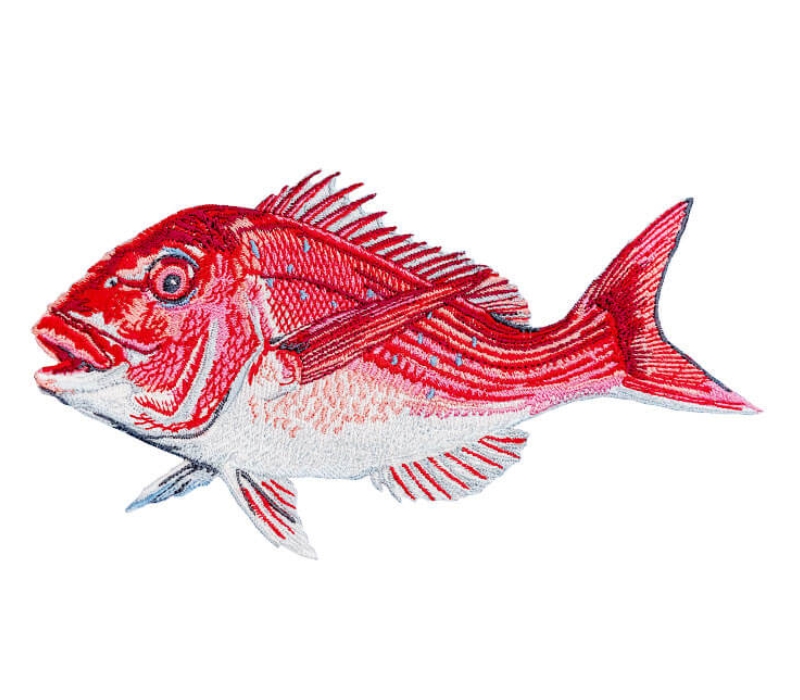 Red Fish
