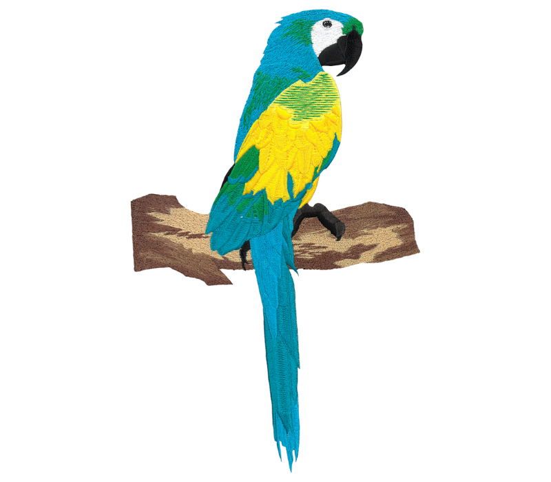 Blue Parrot