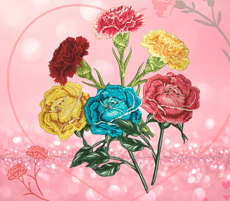 Carnation Rose